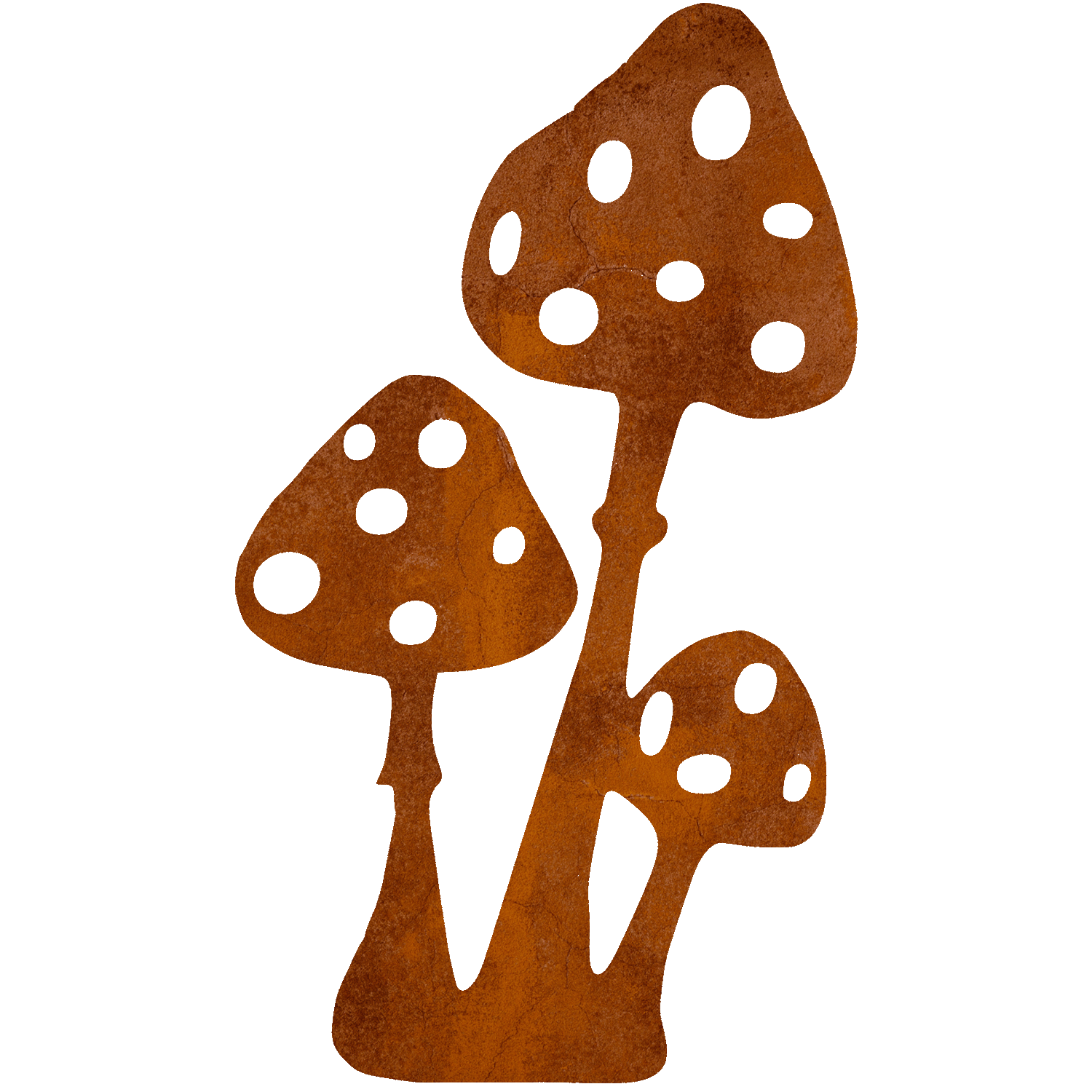 » Pilze «