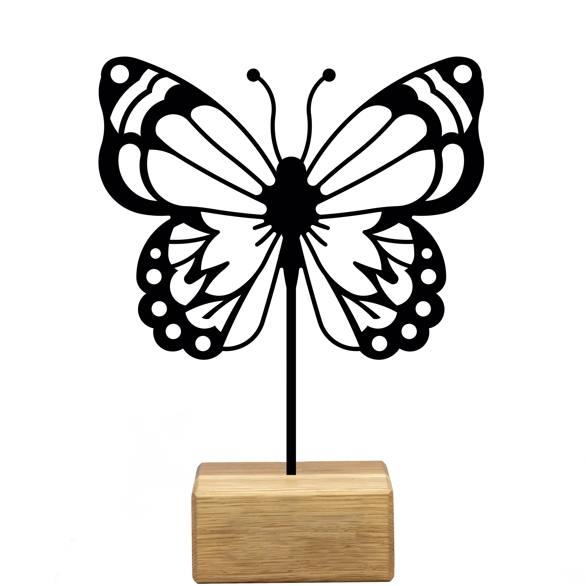 » Schmetterling «