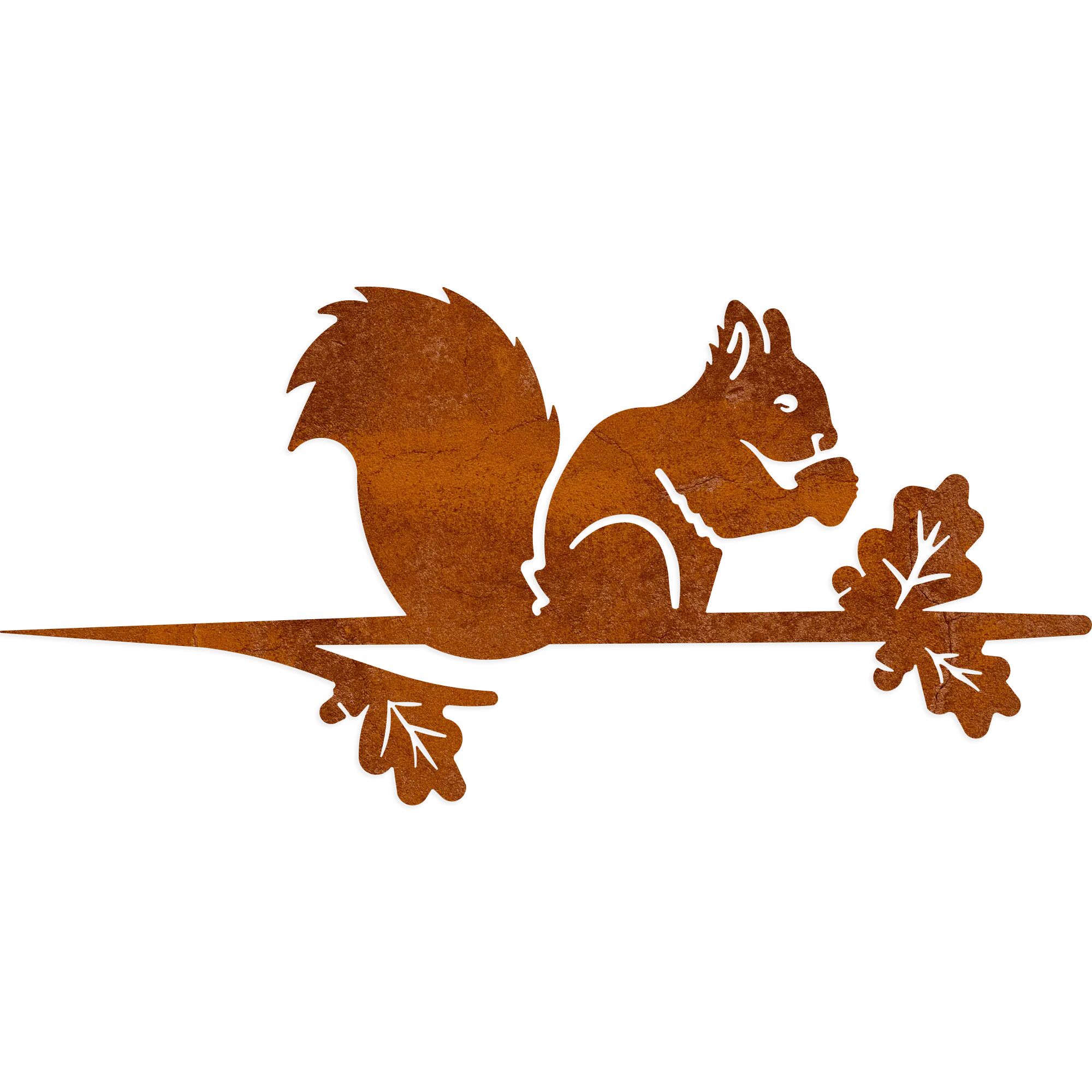 » Eichhörnchen «