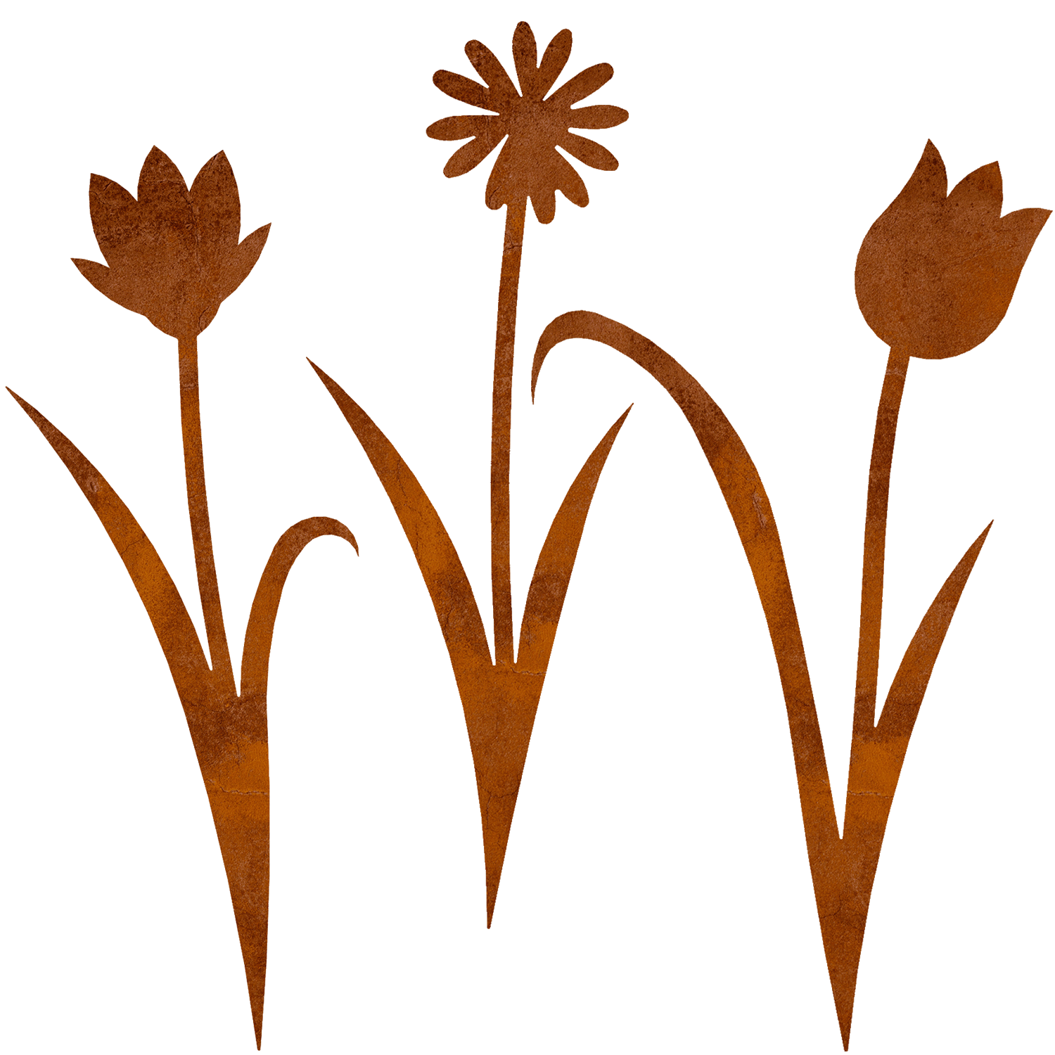  » Tulpenset « 